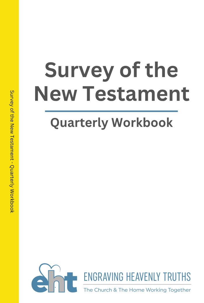 Survey of the New Testament cover