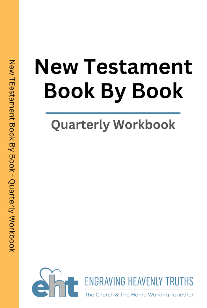New Testament Book-by-Book cover